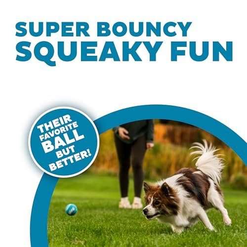 Outward Hound Small Squeaker Ballz Dog Toy Pack – 4 Durable Balls - Image 2