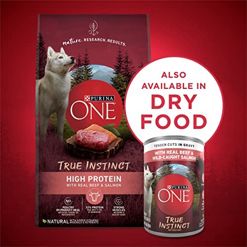 Purina ONE True Instinct Wet Dog Food with Beef & Salmon, 13oz, 12 Pack - Image 7