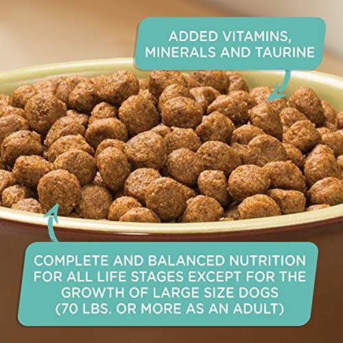 Grain Free Salmon & Sweet Potato Dog Food by Rachael Ray, 23 lb Bag - Image 7