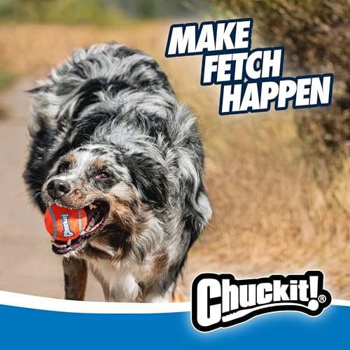 Chuckit Sport Dog Ball Launcher 12M with Medium Ball for Fetch Play - Image 9