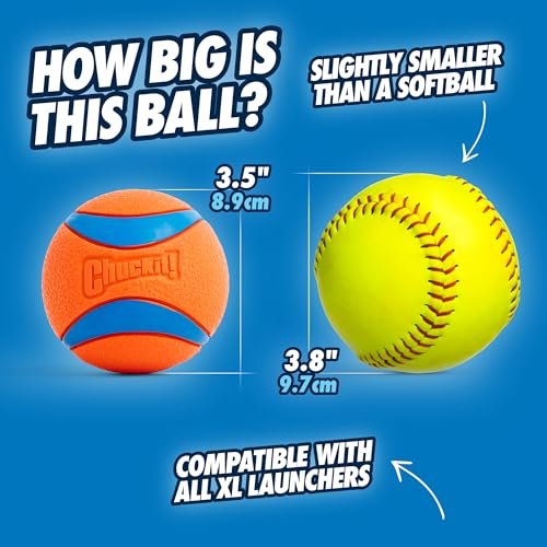 Chuckit! Ultra Ball XL: Tough Floating Dog Toy for Large Breeds, 3.5" Durable Rubber - Image 5
