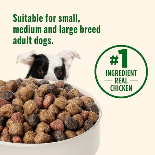 Rachael Ray Nutrish Dry Dog Food, Chicken & Veggies, 6 lb Bag - Image 6
