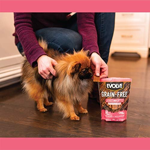 Evolve Grain Free Salmon & Sweet Potato Dog Jerky Treats - Image 8
