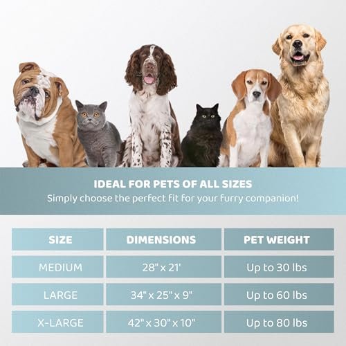 Luxury Velvet Dog Bed – Washable, Durable Comfort for All Dog Sizes - Image 7