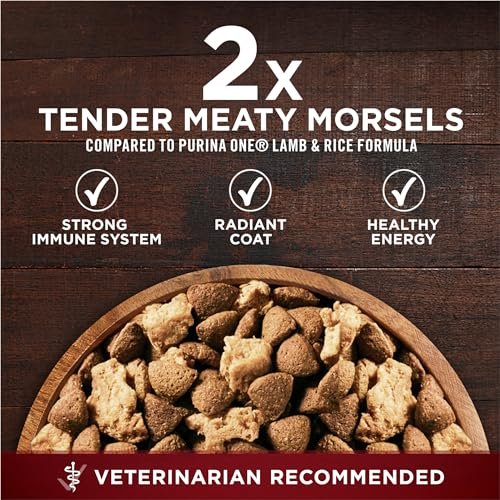 Purina ONE True Instinct Grain-Free High-Protein Beef Dog Food, 12.5 lb - Image 2