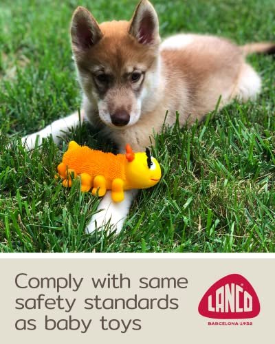 Sensory Caterpillar Dog Toy - Soft Natural Latex for Puppies & Small Dogs - Image 2
