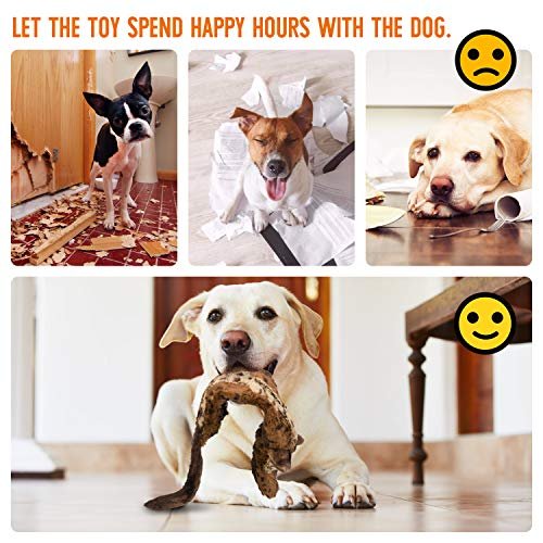 Durable No-Stuffing Dog Squeaky Toys Set with 2 Squeakers - 4 Pack - Image 5