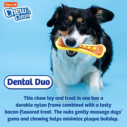 Hartz Chew n Clean Dental Duo Dog Chew Toy & Treat, Medium, 3 Pack - Image 5