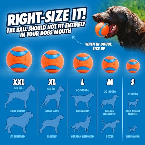 Chuckit! Ultra Ball XL: Tough Floating Dog Toy for Large Breeds, 3.5" Durable Rubber - Image 6