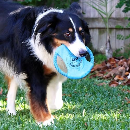 Dog Rope Toys 11-Pack for Medium Dogs - Durable Cotton Puppy Tug Set - Image 8