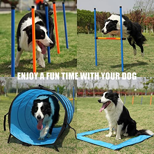 Dog Agility Training Kit with Tunnel, Hurdle, Toys & Carry Bag - Image 6