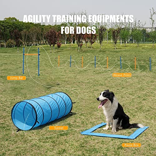 Dog Agility Training Kit with Tunnel, Hurdle, Toys & Carry Bag - Image 5