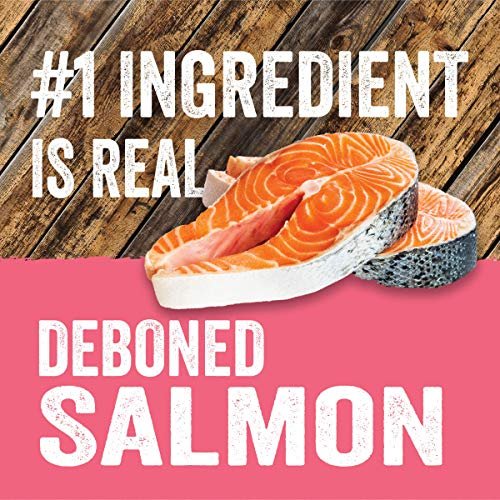 Evolve Grain Free Salmon & Sweet Potato Dog Jerky Treats - Image 3