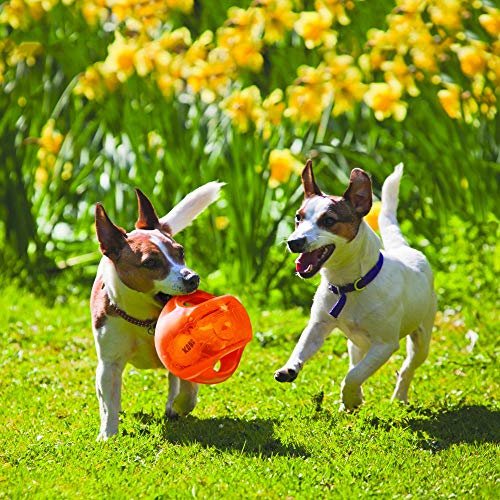 KONG Jumbler Ball for Large Dogs – Interactive Fetch Toy with Tennis Ball - Image 2