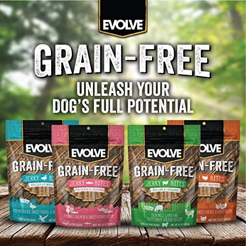 Evolve Grain Free Salmon & Sweet Potato Dog Jerky Treats - Image 6