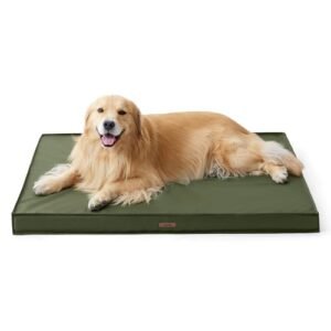 Lesure Outdoor Waterproof Dog Bed for Extra Large Dogs, Orthopedic Egg Crate Foam Pet Bed with Oxford Fabric Surface and Removable and Durable Cover, Machine Washable, 44''x32'', Green