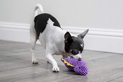 goDog Mini Purple Dino Plush Dog Toy with Squeaker & Chew Guard - Image 5