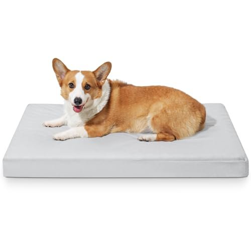 Maimindasi Large Orthopedic Chew Proof Dog Bed - Waterproof, Scratch Resistant, Washable Memory Foam Dog Bed, Easy to Clean, Indestructible Pet Bed for Large Dogs, 42"x32"x3.5", Gray