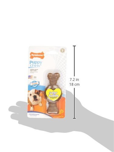 Nylabone Teething Ring for Puppies – Chicken Flavor Chew Toy Small - Image 3