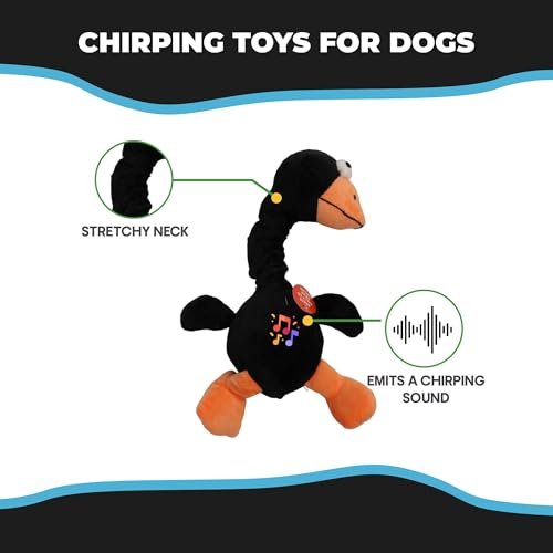 SPOT Chirpies Bird Plush Dog Toy with Sounds, Bungee Neck, 14in - Image 5