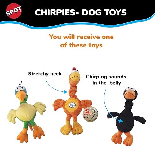 SPOT Chirpies Bird Plush Dog Toy with Sounds, Bungee Neck, 14in - Image 2