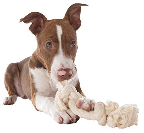 Mammoth Natural Cotton Rope Dog Toy - Small 9" Tug & Chew Toy - Image 3