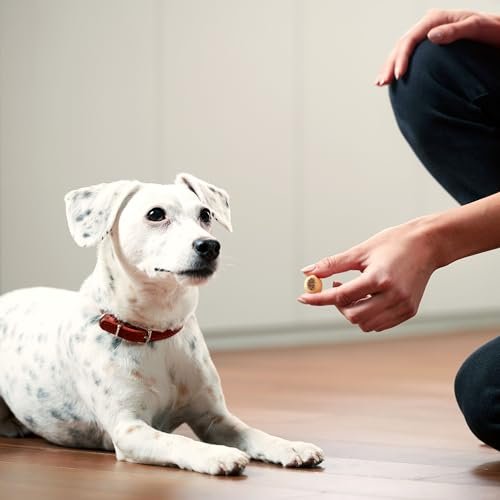 Milk-Bone MaroSnacks Peanut Butter Dog Treats with Calcium, 40oz - Image 5