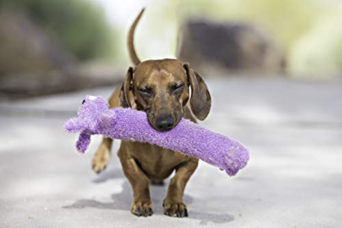 Multipet Loofa Plush Squeaky Dog Toy, 12" Soft Stuffed Pet Toy - Image 8
