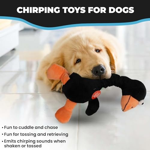 SPOT Chirpies Bird Plush Dog Toy with Sounds, Bungee Neck, 14in - Image 6