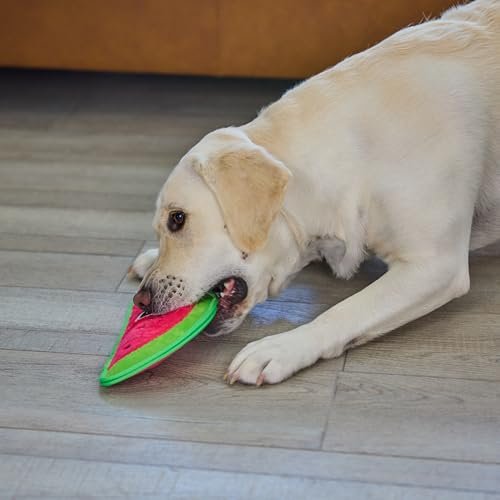 Durable Squeaky Dog Toy – Tough Watermelon Design, Medium Size - Image 6