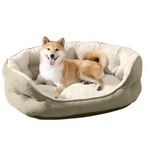 Canine Creations Cozy Pet Bed by Arlee Home & Pet Orthopedic Eco-Friendly Oval Durable Chew Resistant Washable Pet Bed for Medium and Large Large Dogs, Aloe