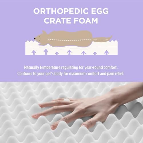 Orthopedic Waterproof XL Dog Bed with Egg Crate Foam, Green 44x32 - Image 3