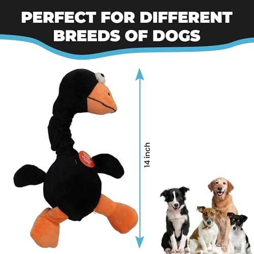 SPOT Chirpies Bird Plush Dog Toy with Sounds, Bungee Neck, 14in - Image 4