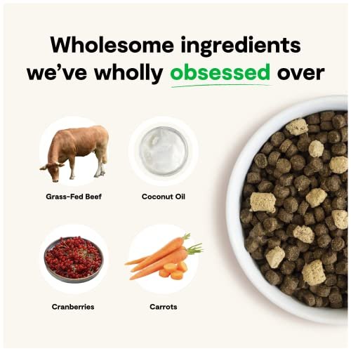 Open Farm RawMix Grain-Free Dog Food, Kibble + Raw, 3.5 lb Bag - Image 3
