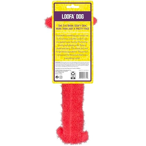 Multipet Loofa Plush Squeaky Dog Toy, 12" Soft Stuffed Pet Toy - Image 4
