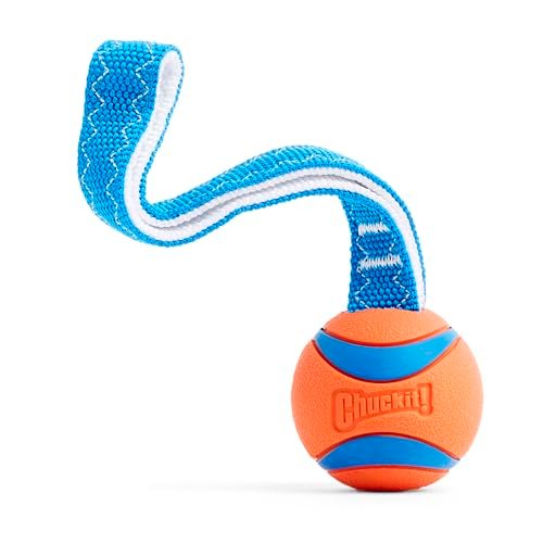 Chuckit! Ultra Tug Dog Toy, Medium Fetch and Dog Ball Tug Toy for Dogs 20-60 Pounds