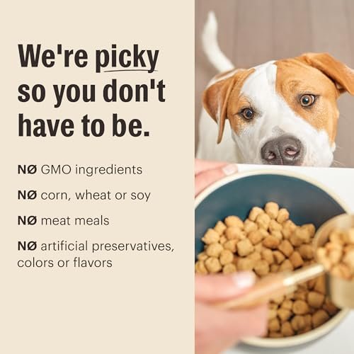 Grain-Free Beef Dog Food Clusters by The Honest Kitchen, 5 lb Bag - Image 6