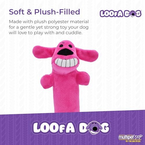 Mini Loofa Dog Toy 6-Inch – Soft, Squeaky, Assorted Colors - Image 2