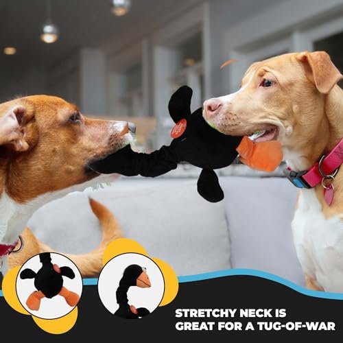 SPOT Chirpies Bird Plush Dog Toy with Sounds, Bungee Neck, 14in - Image 7