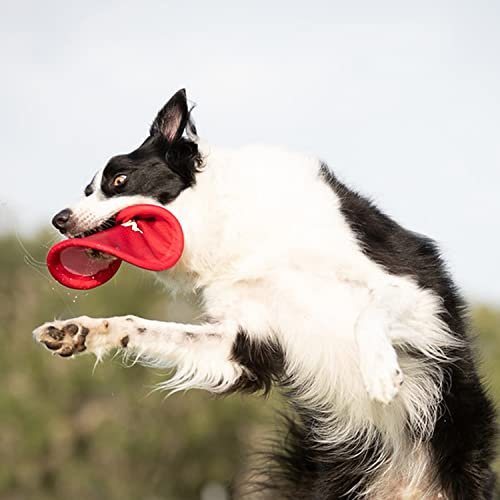 Nerf Dog Flying Disc Toy: Durable Outdoor Frisbee for Medium/Large Dogs, Beach & Pool Fun - Image 2