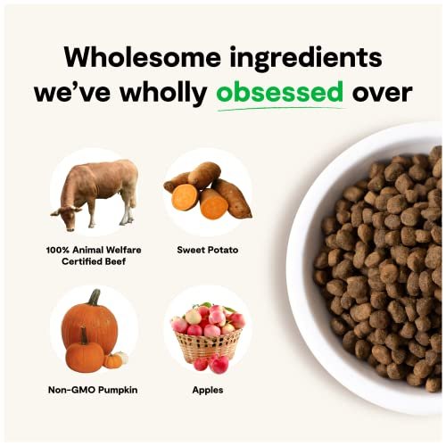 Open Farm Wagyu Beef Dog Food, Grain-Free, Non-GMO, 4lb Bag - Image 5