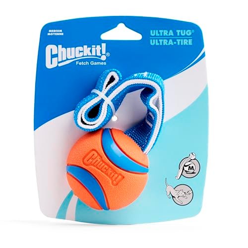 Chuckit! Ultra Tug Dog Toy: Durable Interactive Fetch Ball for Medium Dogs - Image 6