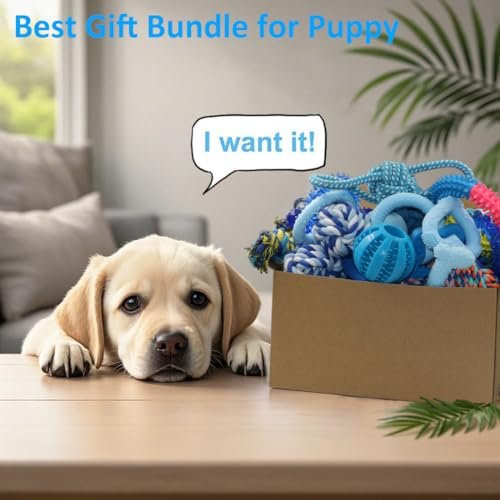Puppy Teething Toys Bundle: 20 Durable Blue Chew Toys for Small Dogs - Image 6