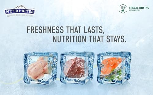 Nutri Bites Freeze-Dried Salmon Treats 18.3oz – Omega-3 for Pets - Image 4