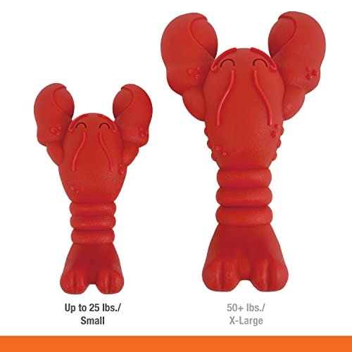 Nylabone Lobster Chew Toy for Small Aggressive Chewers, Filet Mignon - Image 5