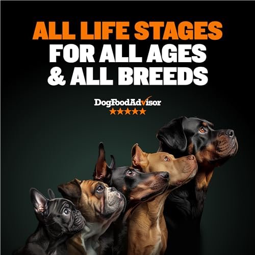 Bully Max High Calorie Dog Food for Muscle Gain & Weight Support - Image 2
