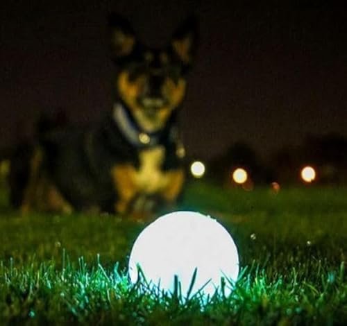 Chuckit! Glowing Dog Balls - Night Play Medium 2.5" Dark Fetch Toy (2 Pack) - Image 2