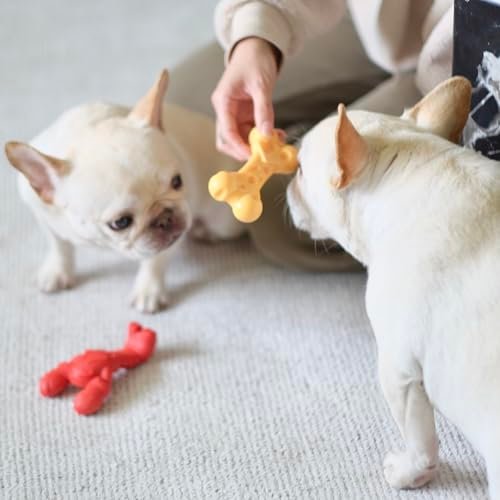 Nylabone Lobster Chew Toy for Small Aggressive Chewers, Filet Mignon - Image 9