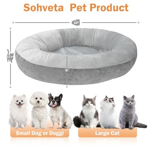 Cozy Heated Cat Bed: Warm Pet Comfort for Indoor Cats & Small Dogs - Image 2
