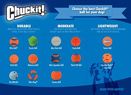 Chuckit! Glowing Dog Balls - Night Play Medium 2.5" Dark Fetch Toy (2 Pack) - Image 8